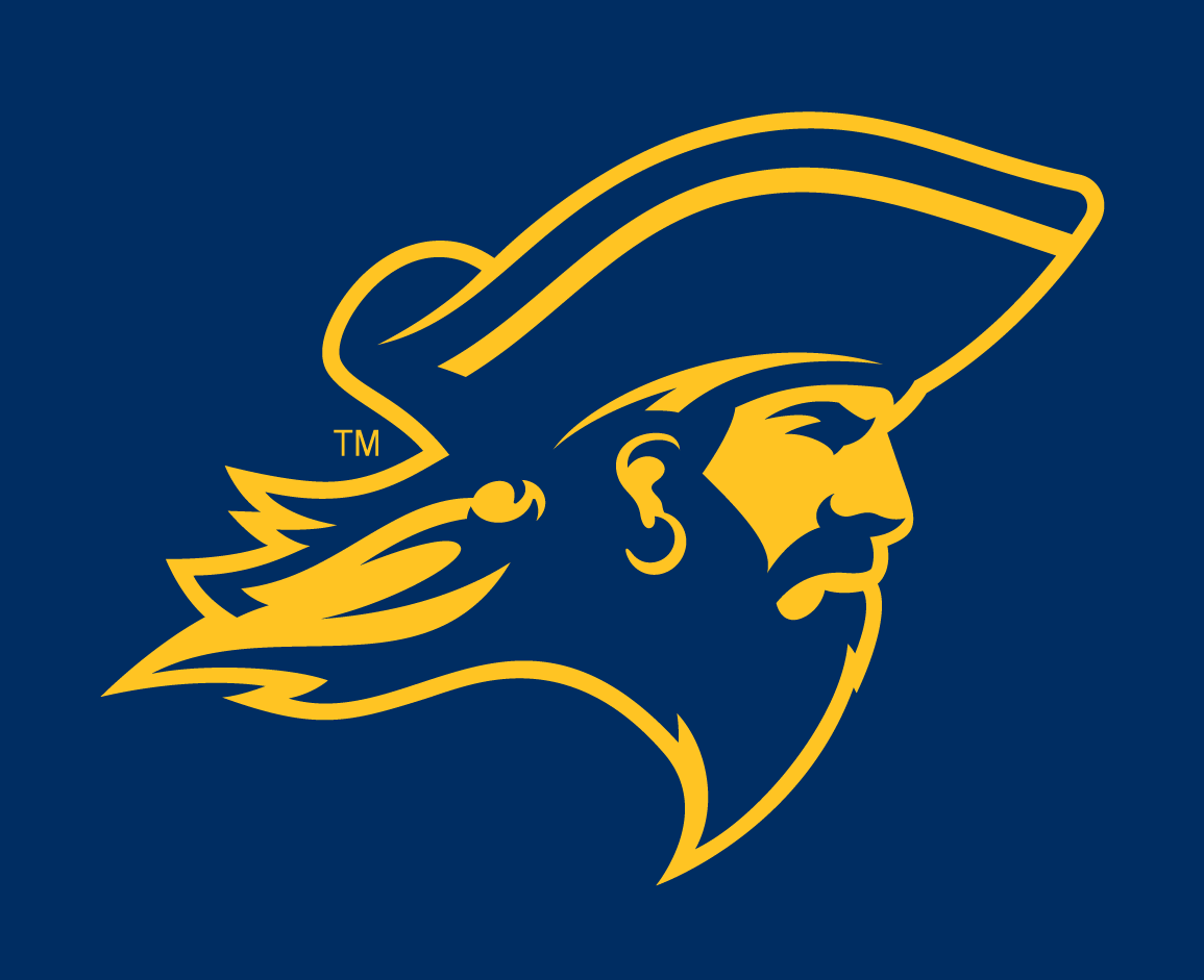 ETSU Buccaneers 2014-Pres Partial Logo v4 diy DTF decal sticker